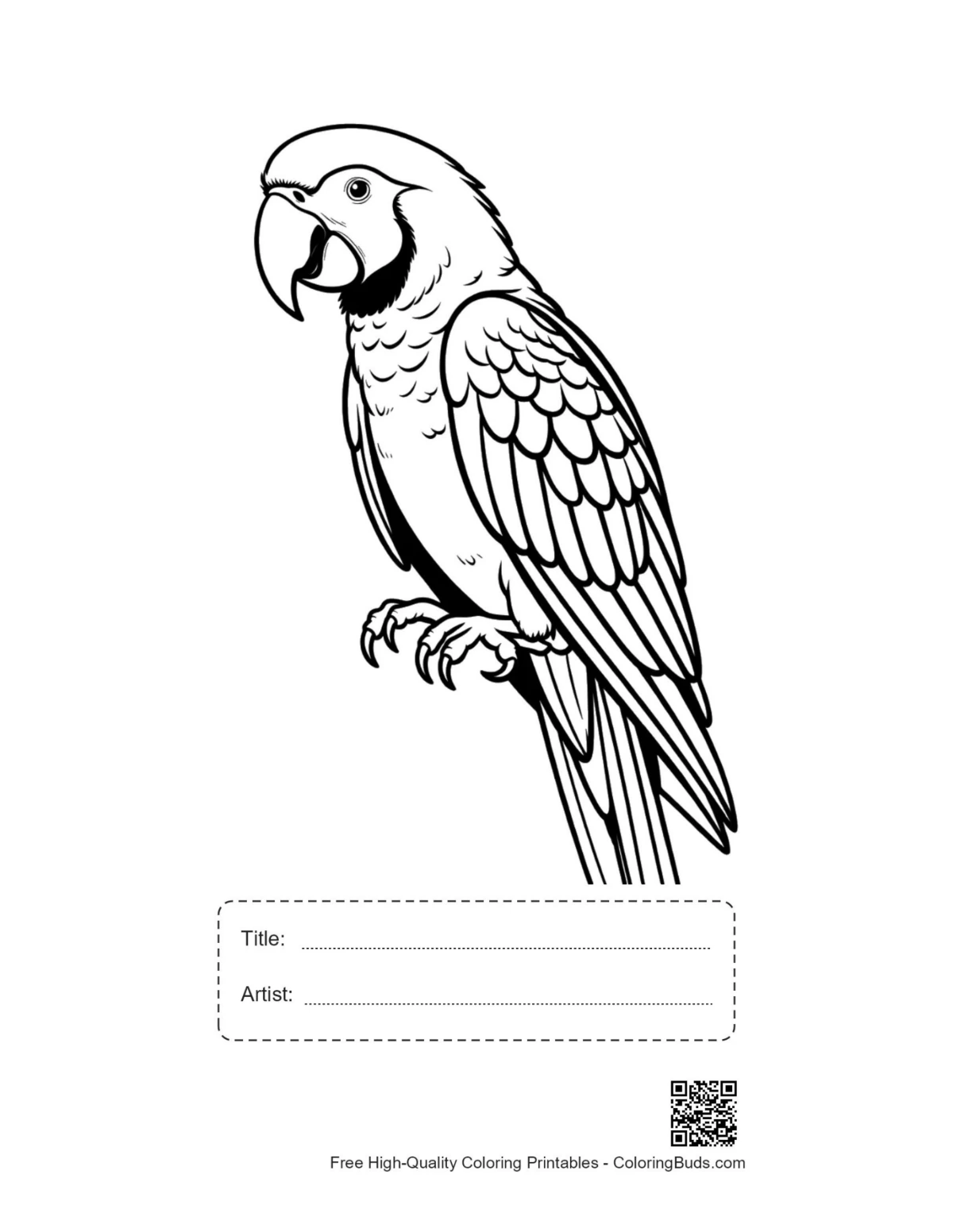 Printable expressive macaw line art with title space