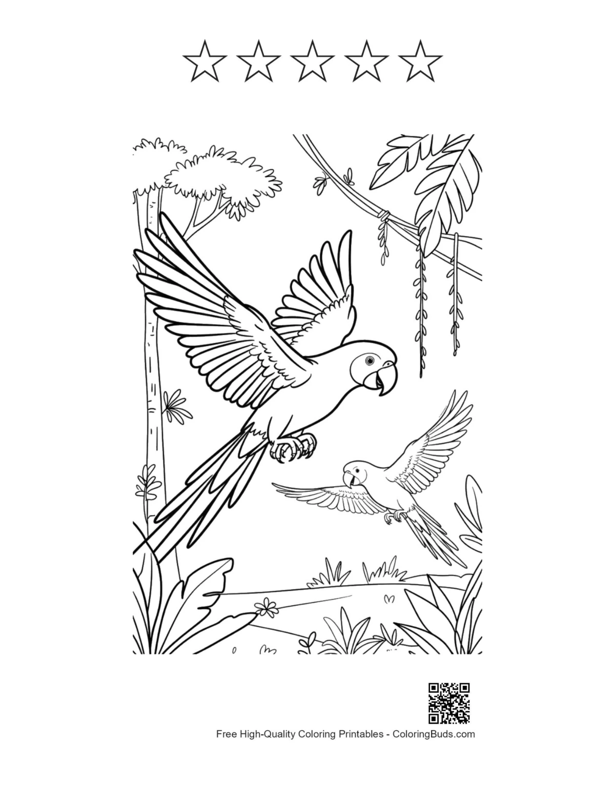Cockatoo wings spread printable with 5 stars outline
