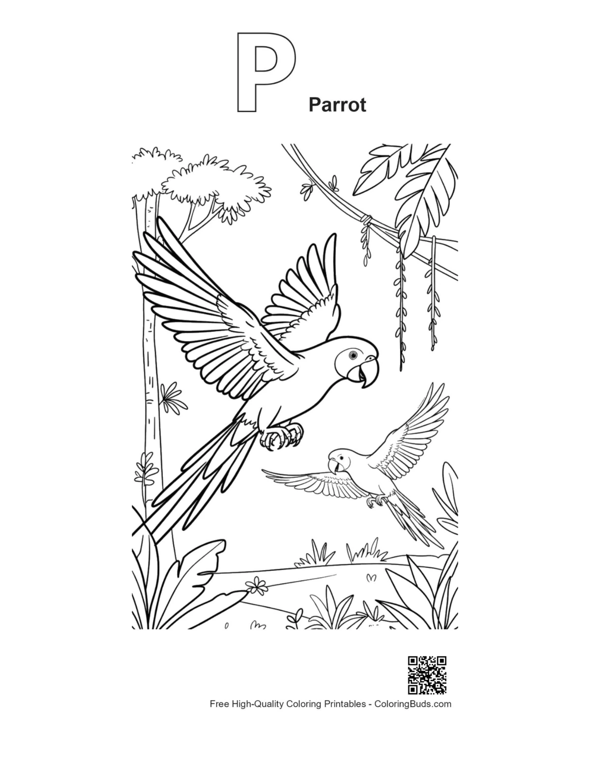 Cockatoo flight printable with P parrot alphabet outline