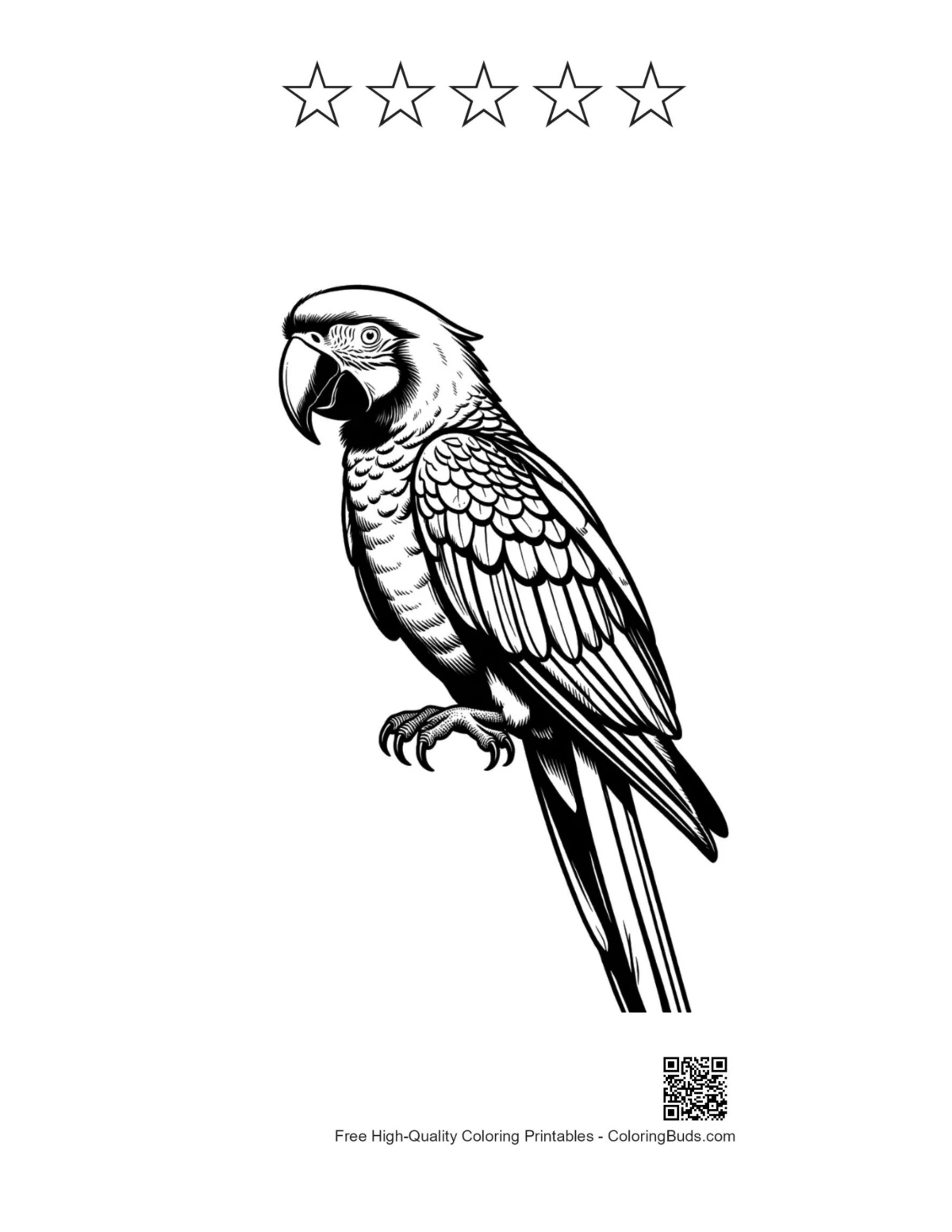 Hyacinth Macaw printable with star outlines