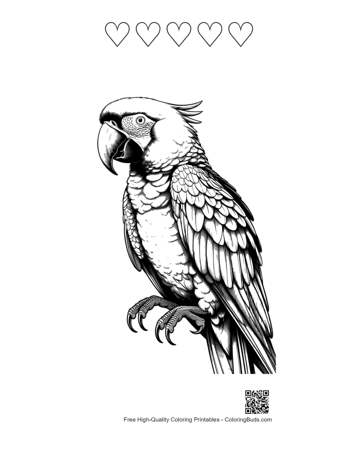 Hyacinth macaw line art with heart motifs printable