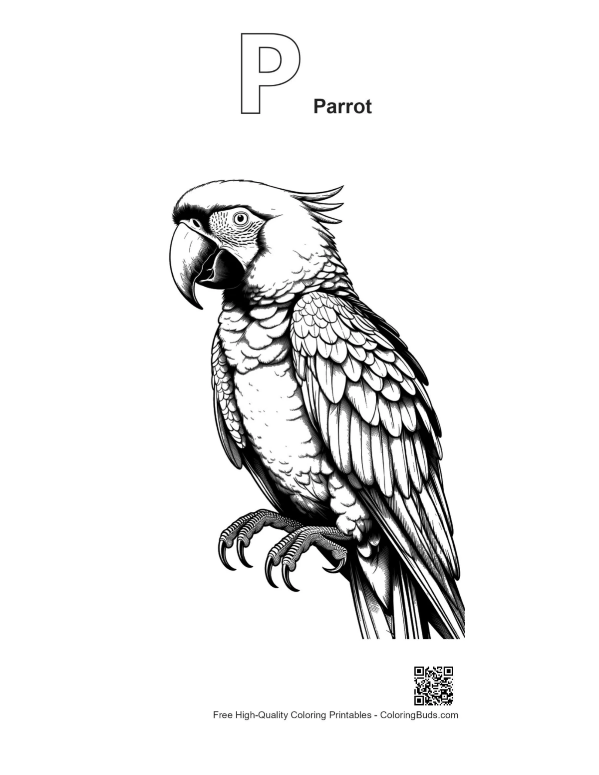 Hyacinth macaw outline with alphabet P for parrot