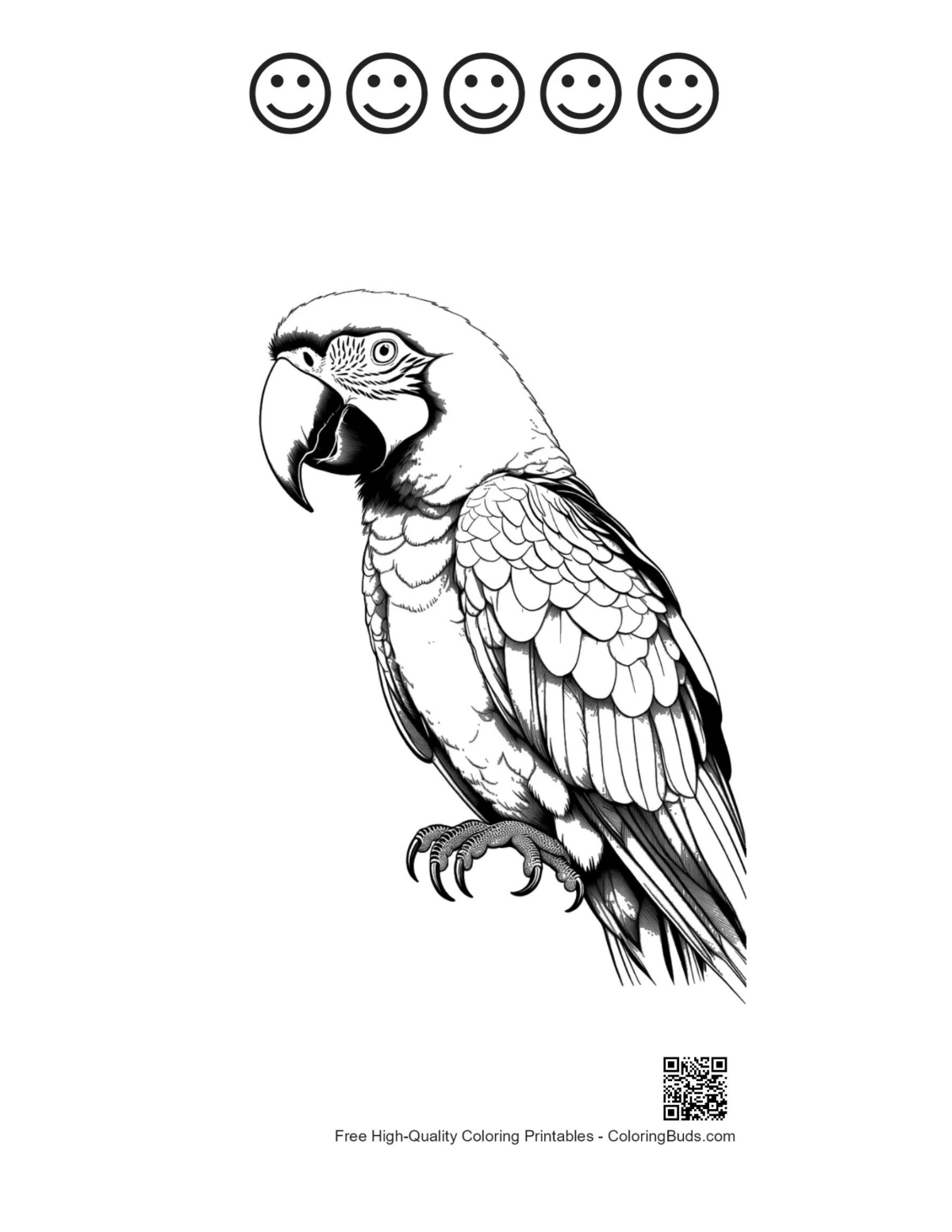 Macaw printable with happy face outlines