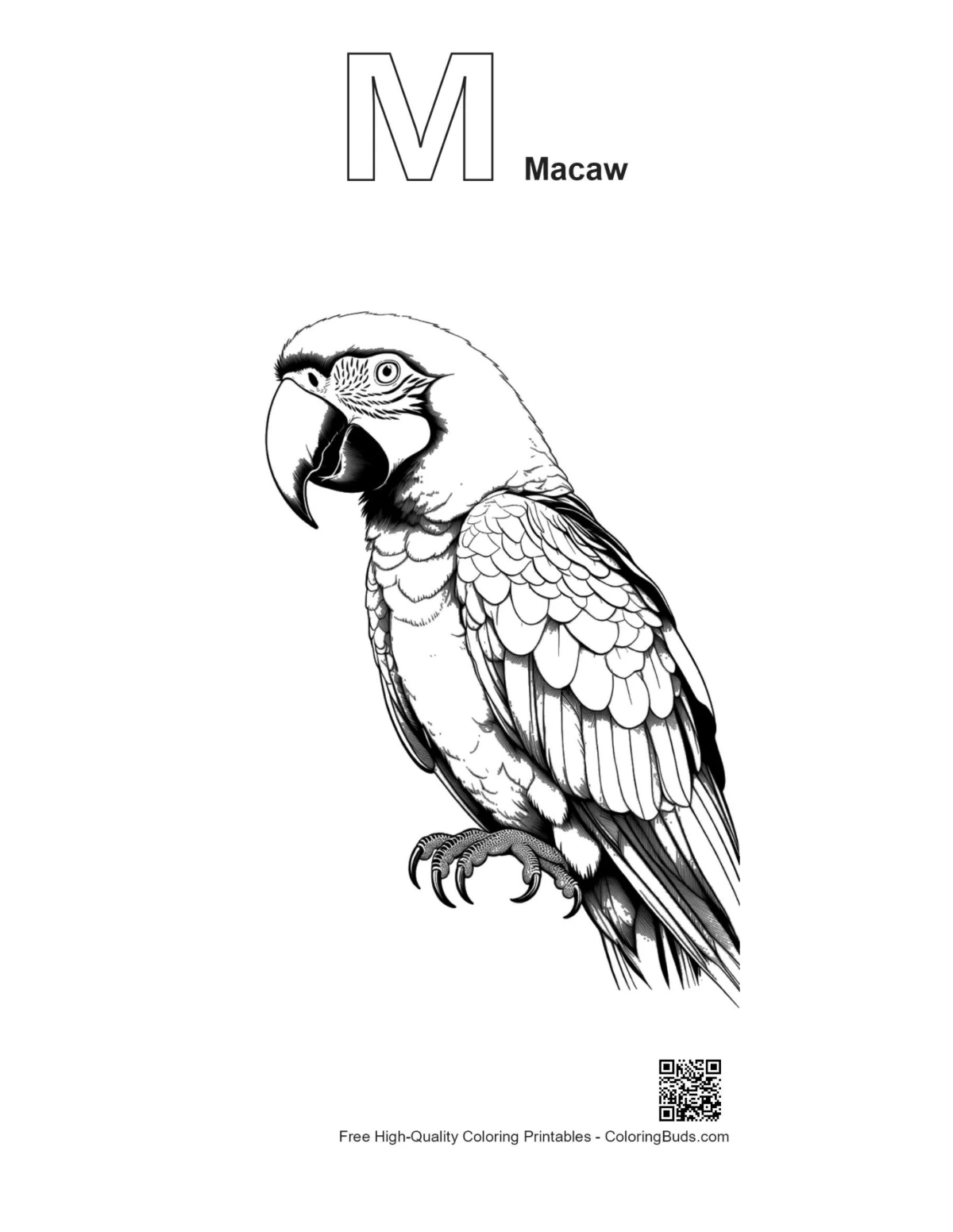 Alphabet M macaw line art printable