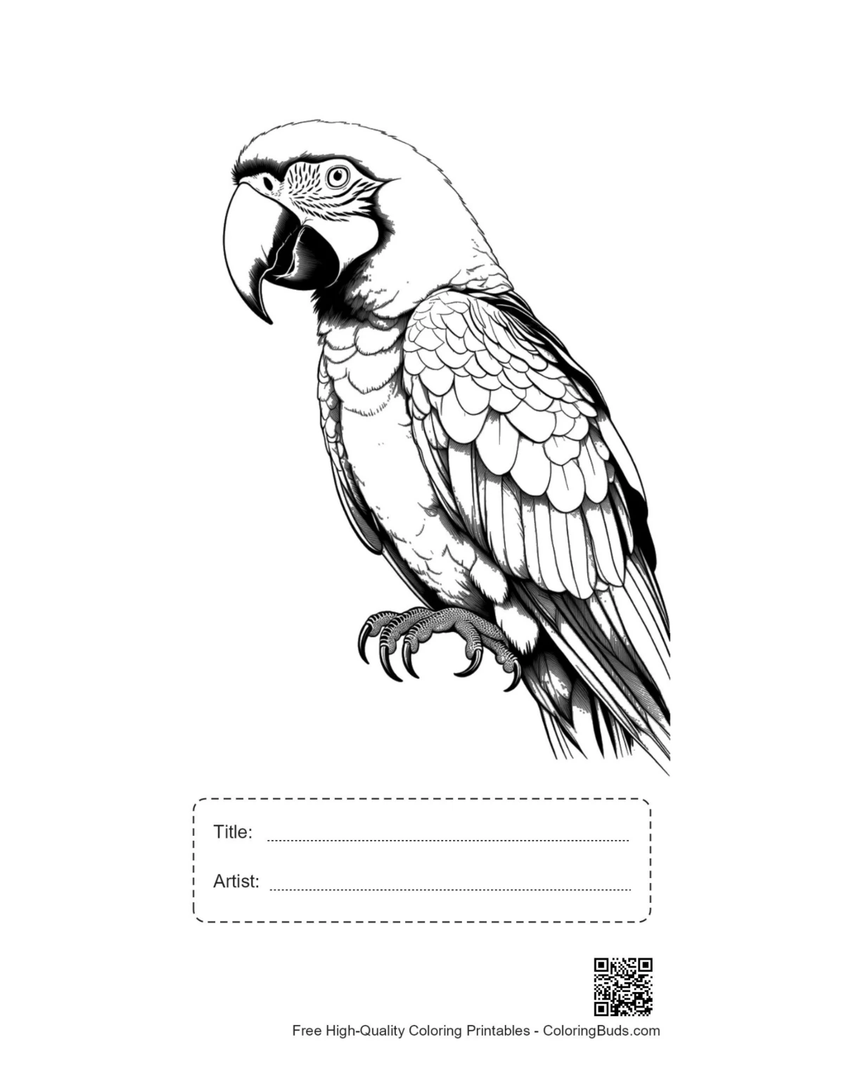 Macaw line art printable with title box
