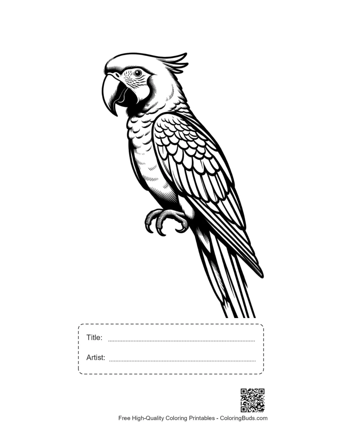 Scarlet macaw line art printable including title and artist space