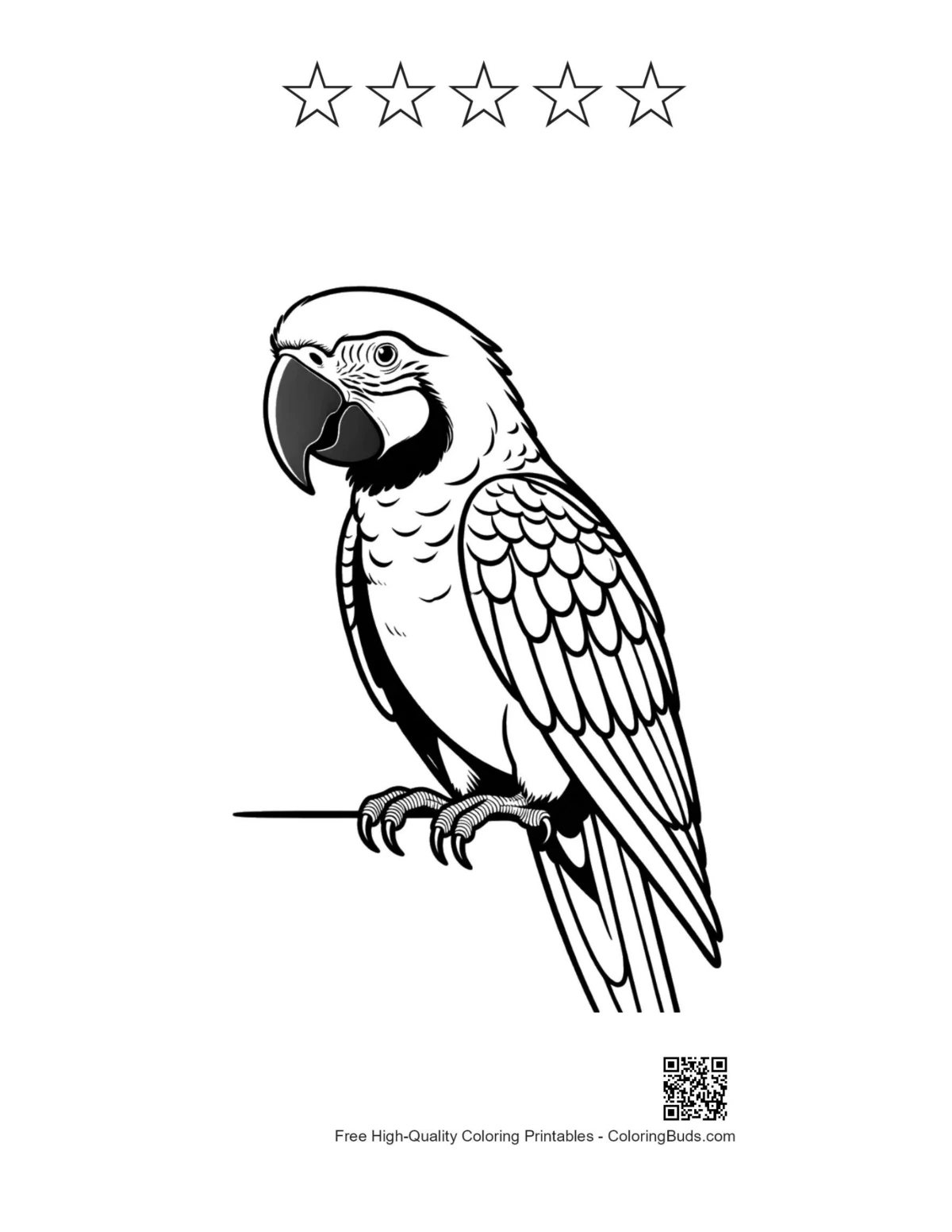 Majestic white macaw printable with 5-star outline design
