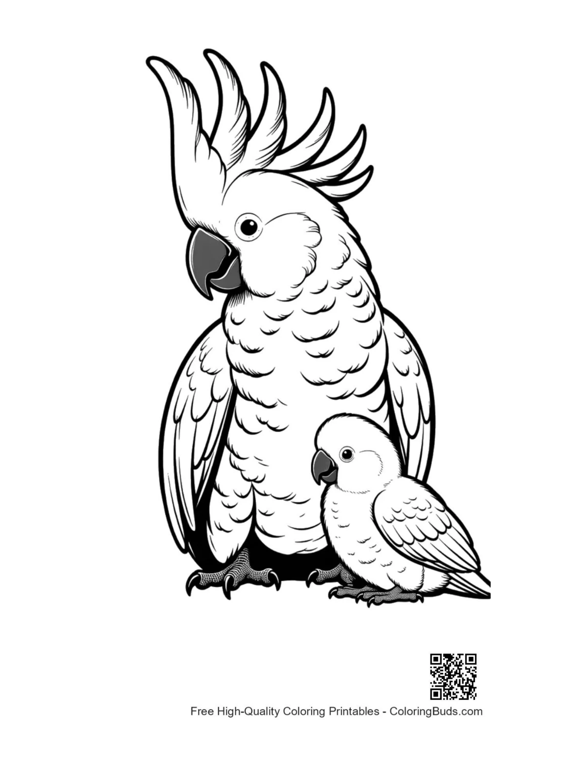 Mother cockatoo hugging baby chick illustration