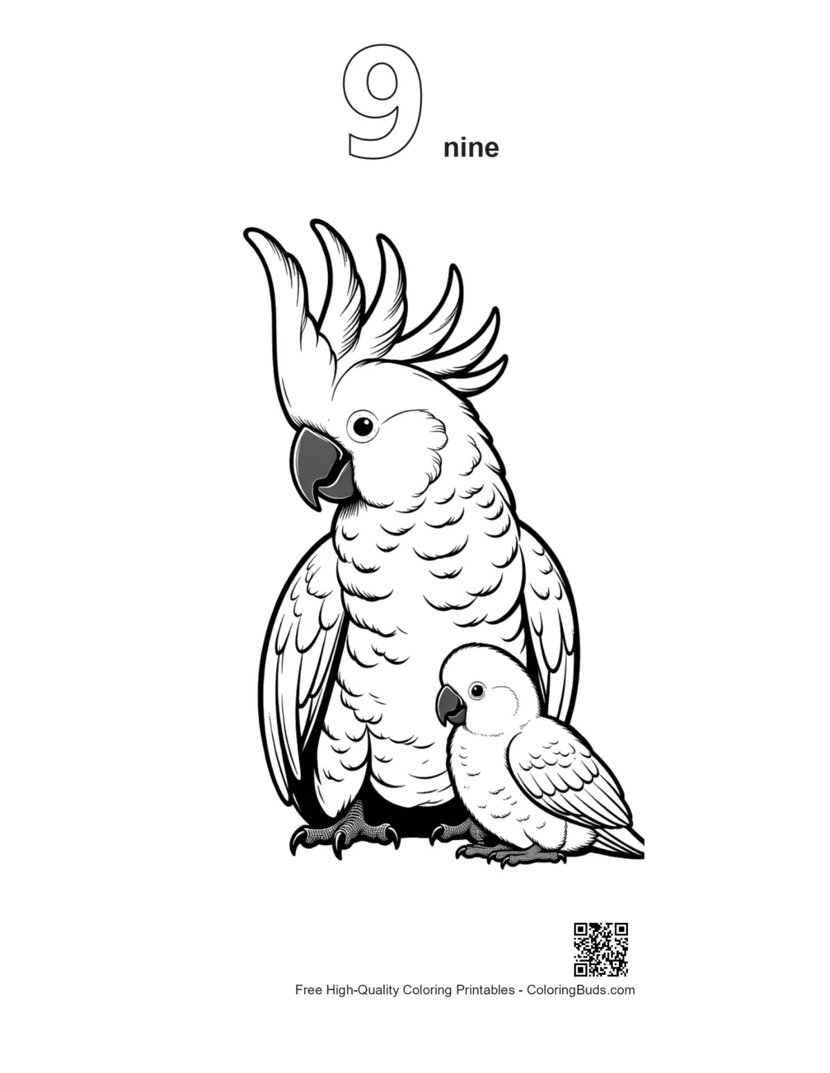 Outline printable of mother cockatoo with baby chick number 9