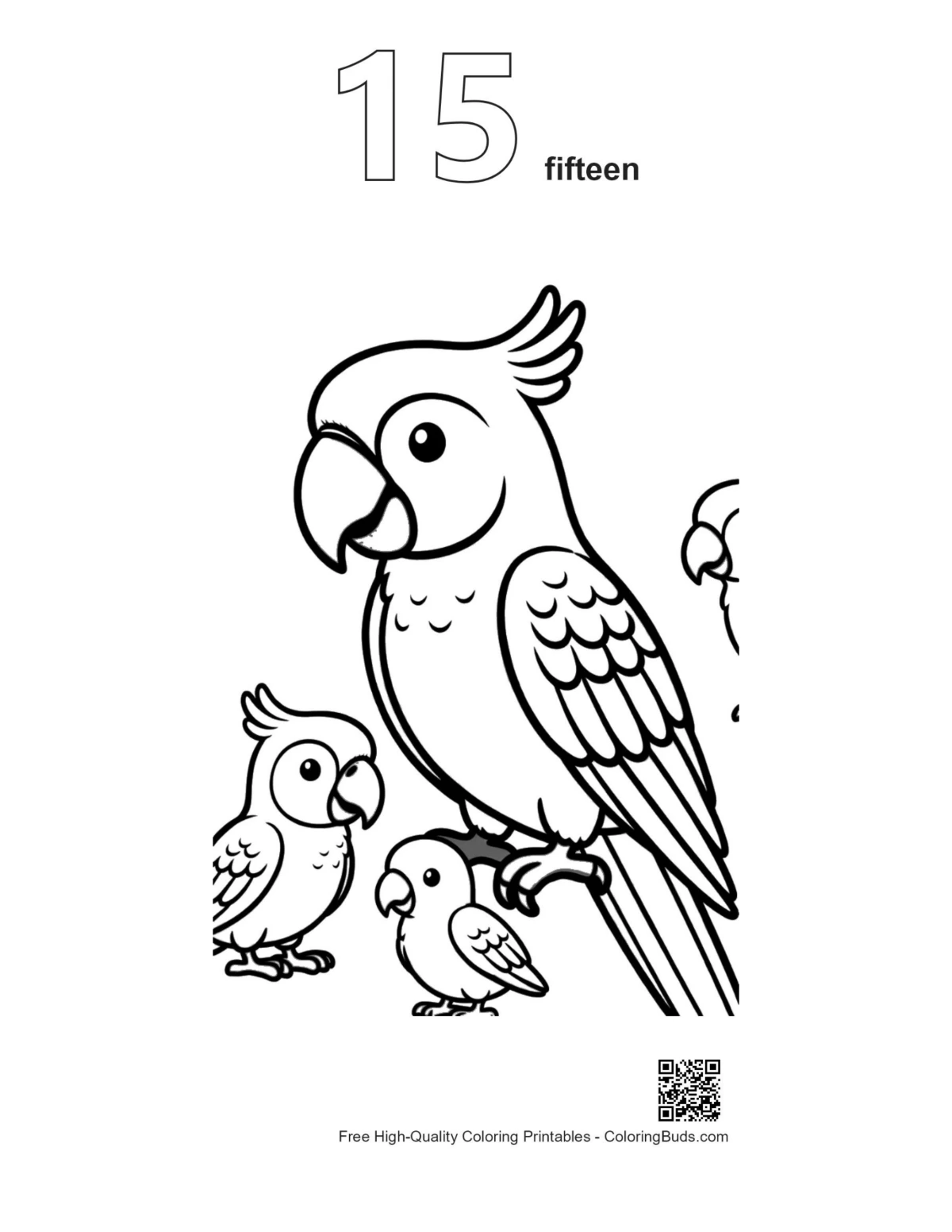 Outline coloring page mother macaw babies number 15