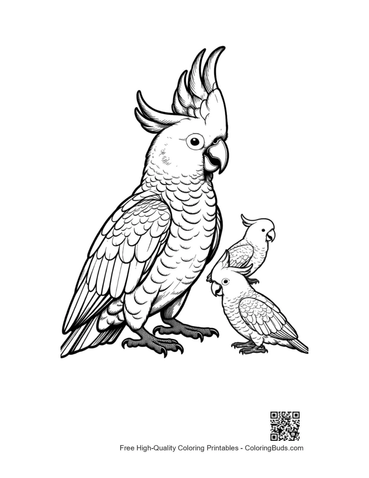 Proud cockatoo parent and two chicks artwork
