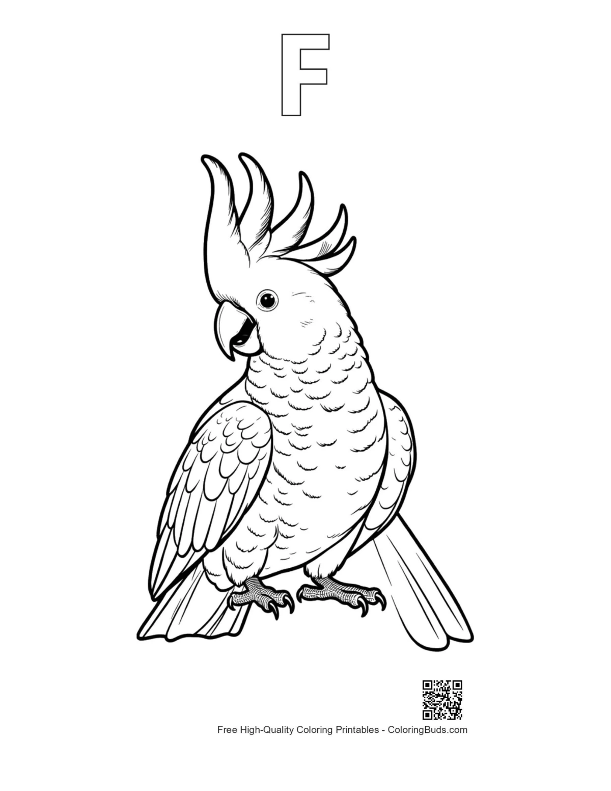 Cockatoo outline with alphabet F design