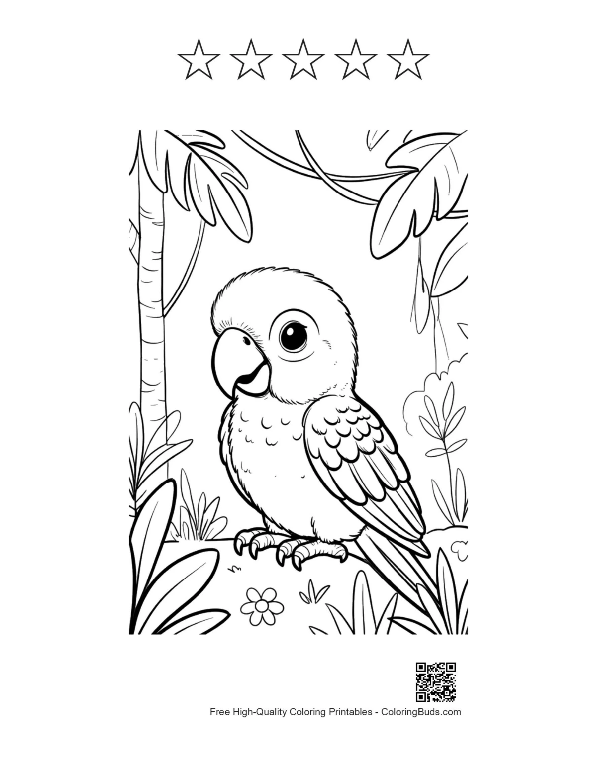 Baby cockatoo with 5 star outlines coloring page