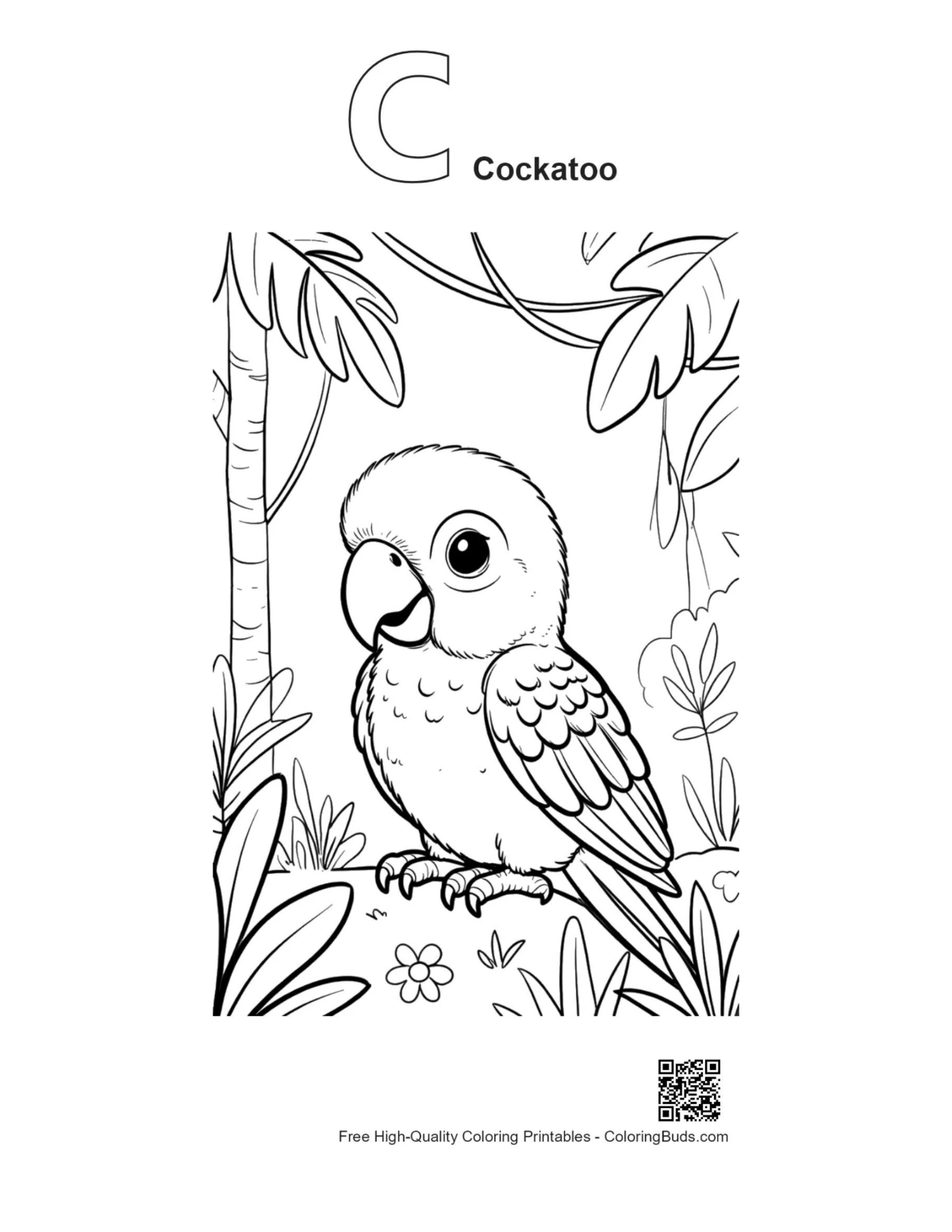 Baby cockatoo alphabet C outline coloring printable