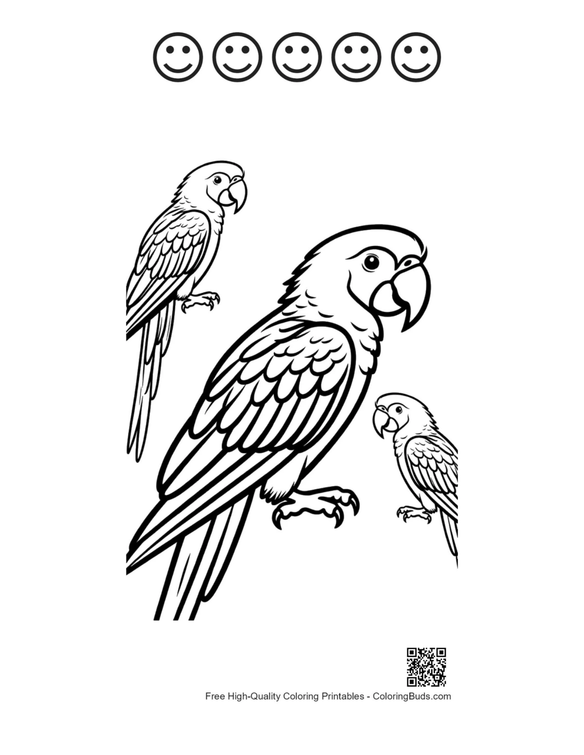 Outline macaw parrots with happy faces printable