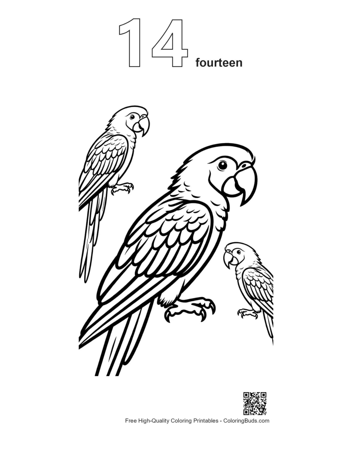 Macaw parrots coloring page outline number 14