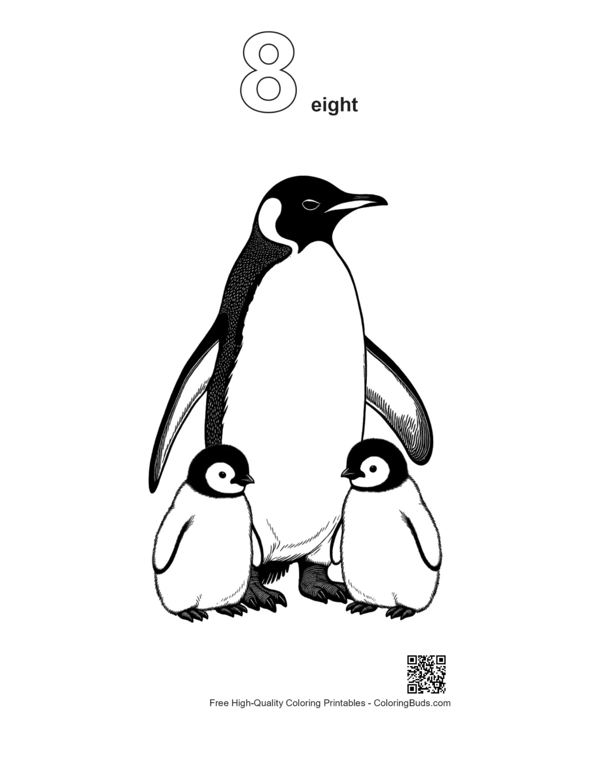 Emperor penguin chicks outline with number 8 design