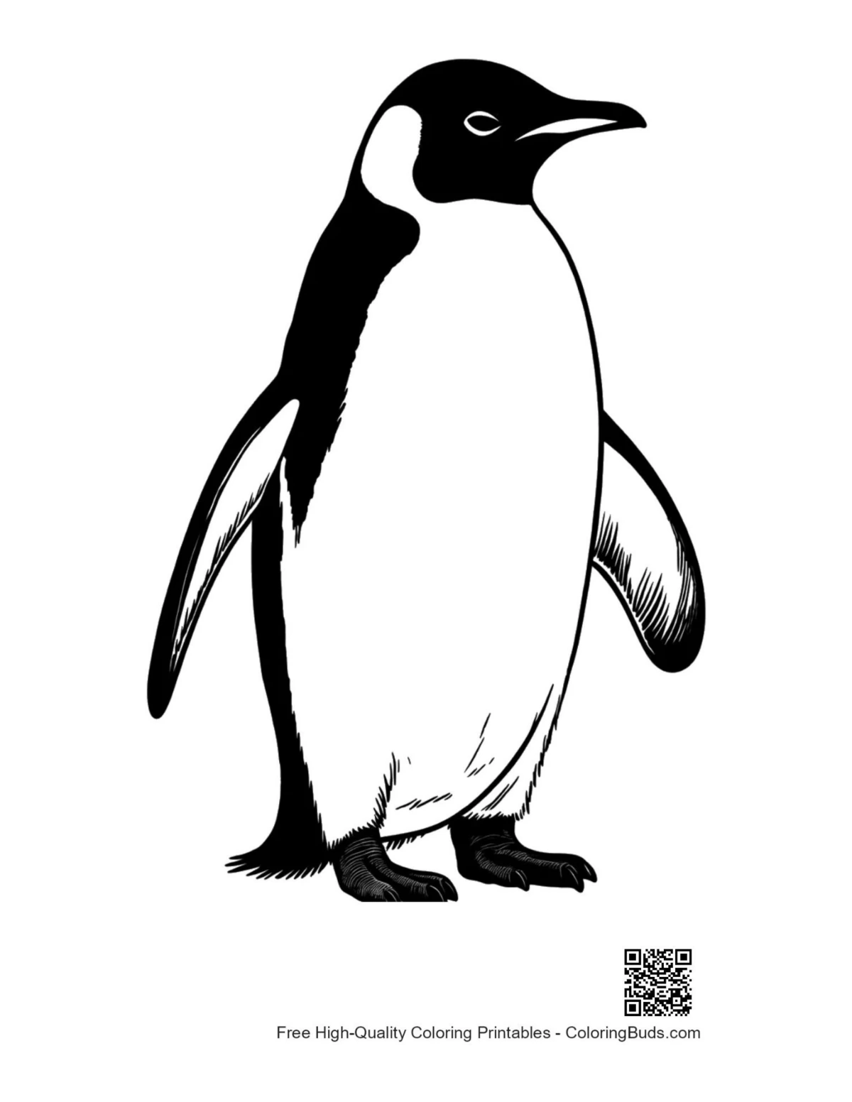 Majestic emperor penguin standing proudly illustration
