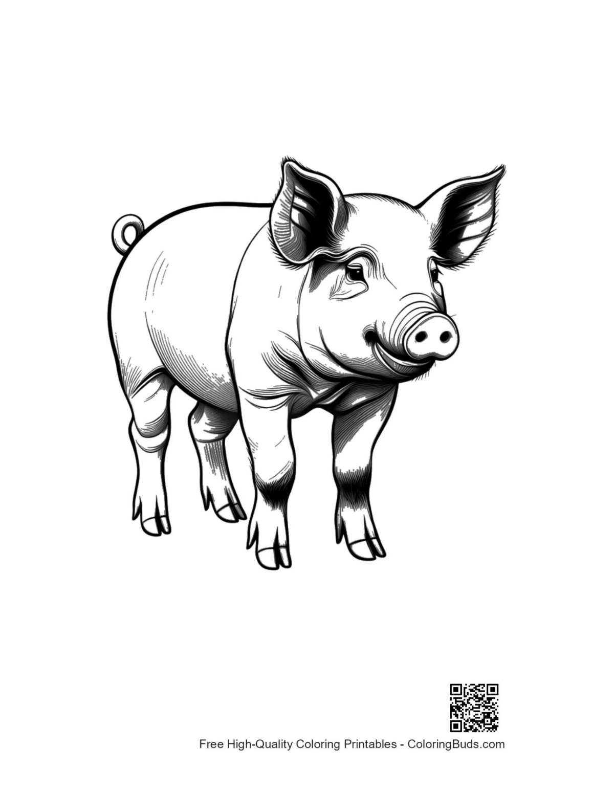 Cute cheerful farm piglet standing playfully