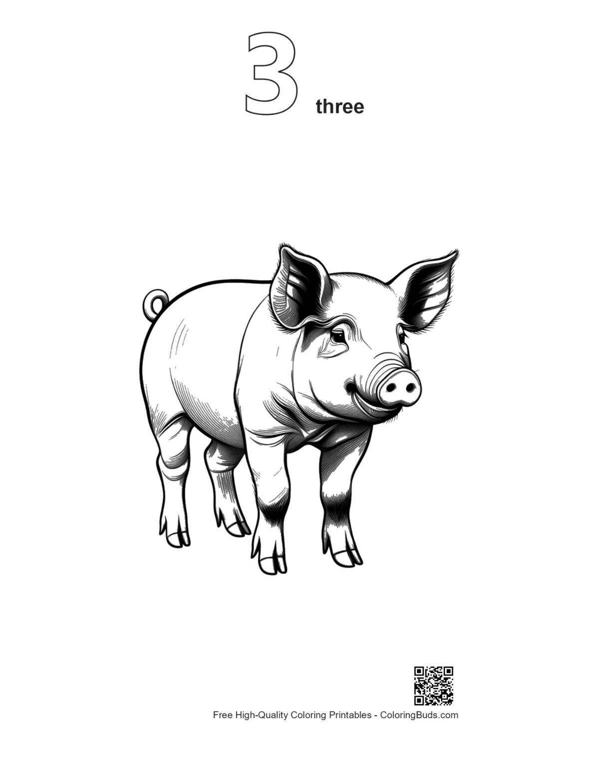 Piglet outline coloring page number 3