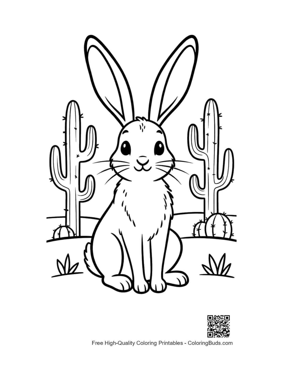 Wild jackrabbit long ears desert habitat coloring printable