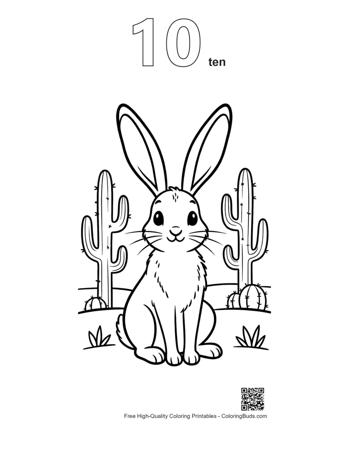 Jackrabbit coloring page outline number 10 desert habitat