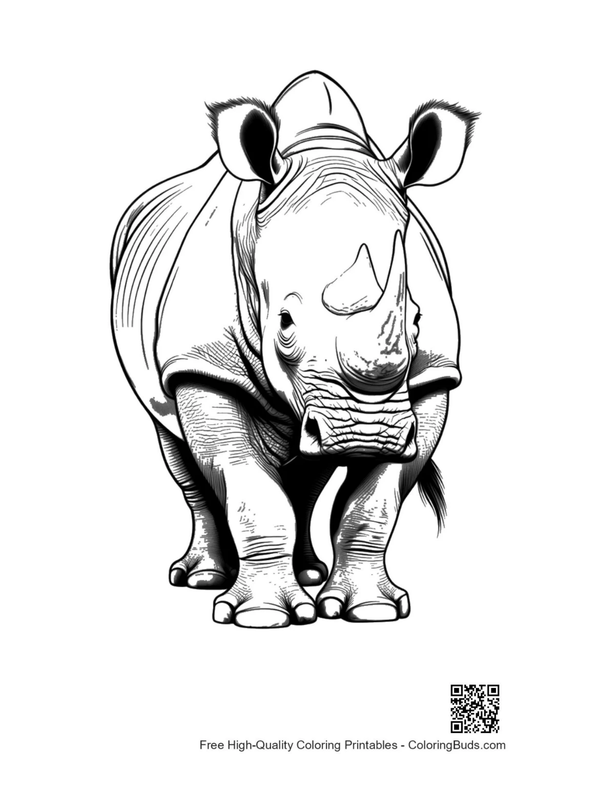 Majestic White Rhino line art
