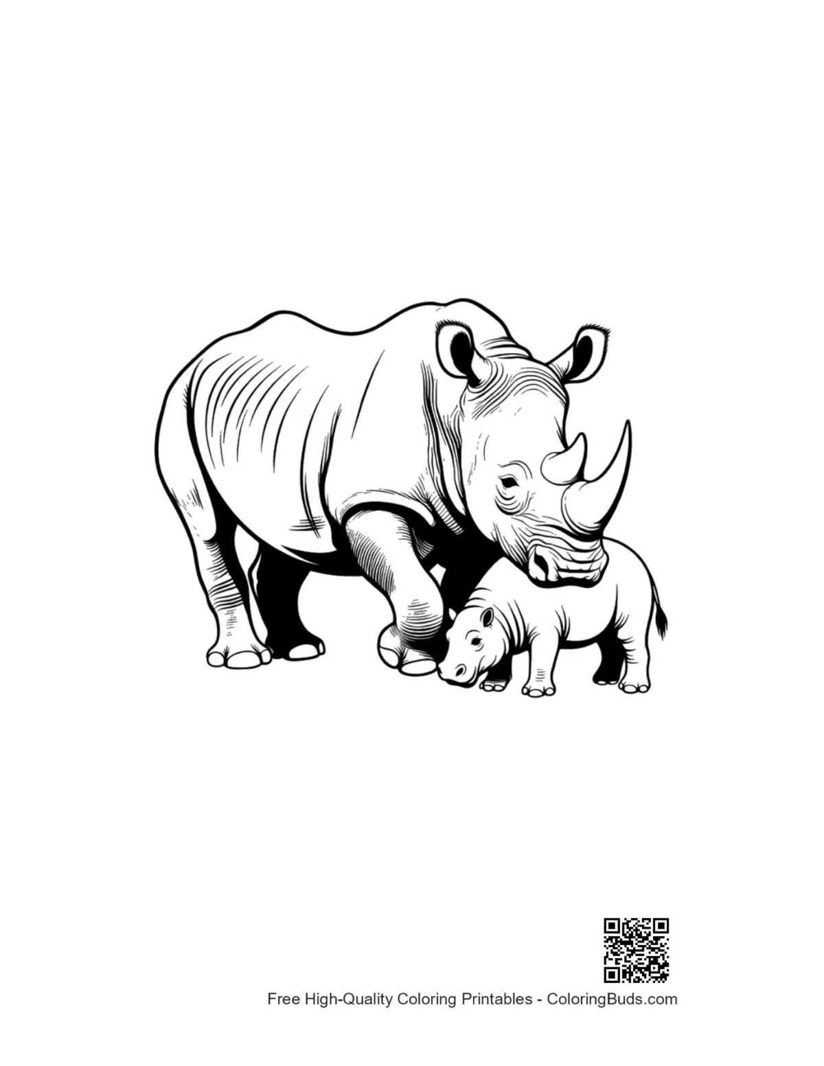 Majestic white rhino mother and calf
