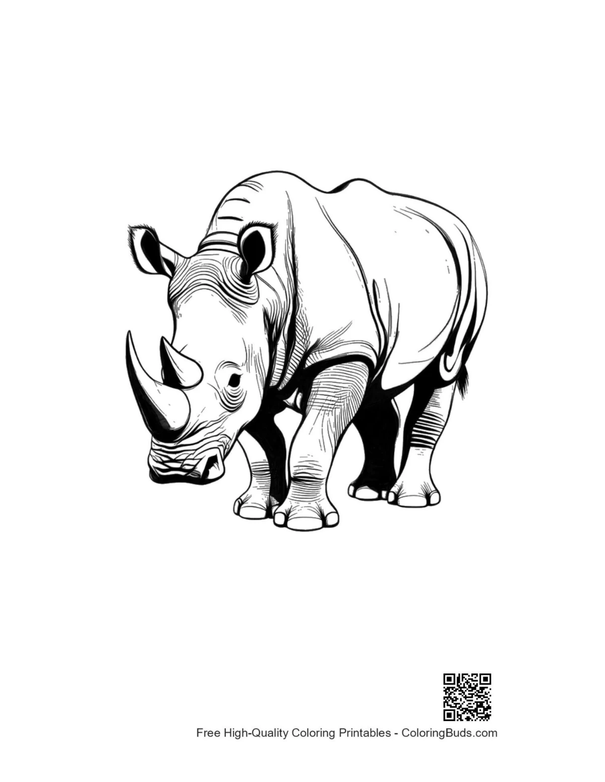 Majestic white rhino stalking forward coloring page