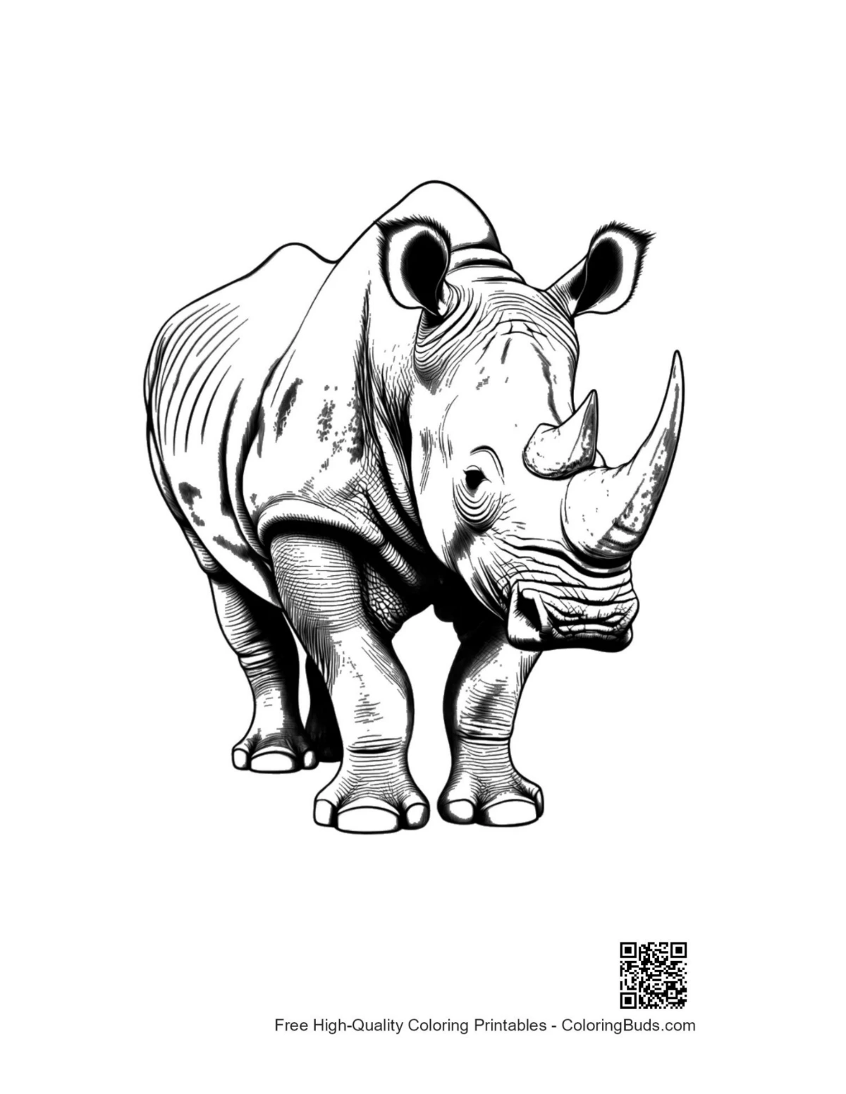 Majestic White Rhino Stance coloring page