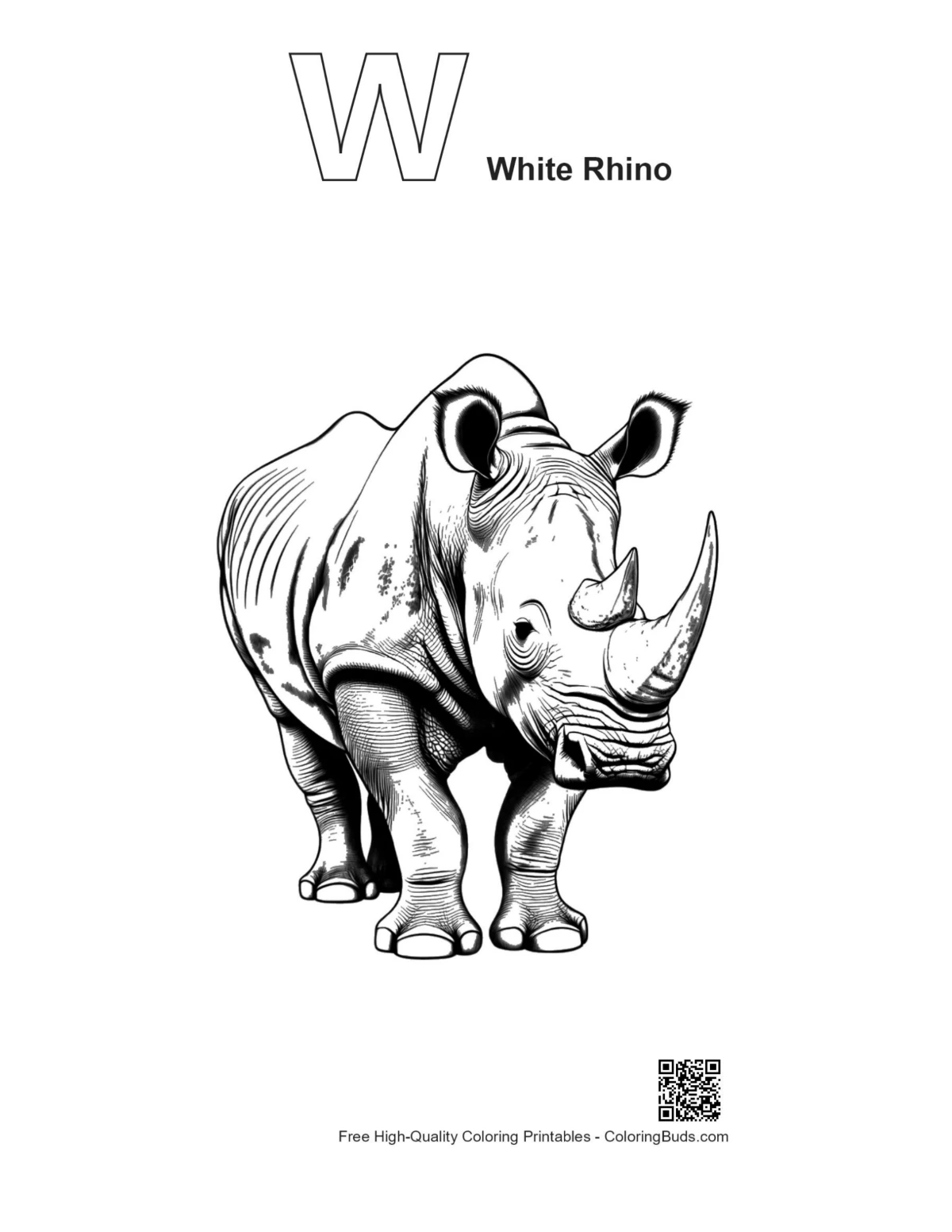 White Rhino stance outline with alphabet letters