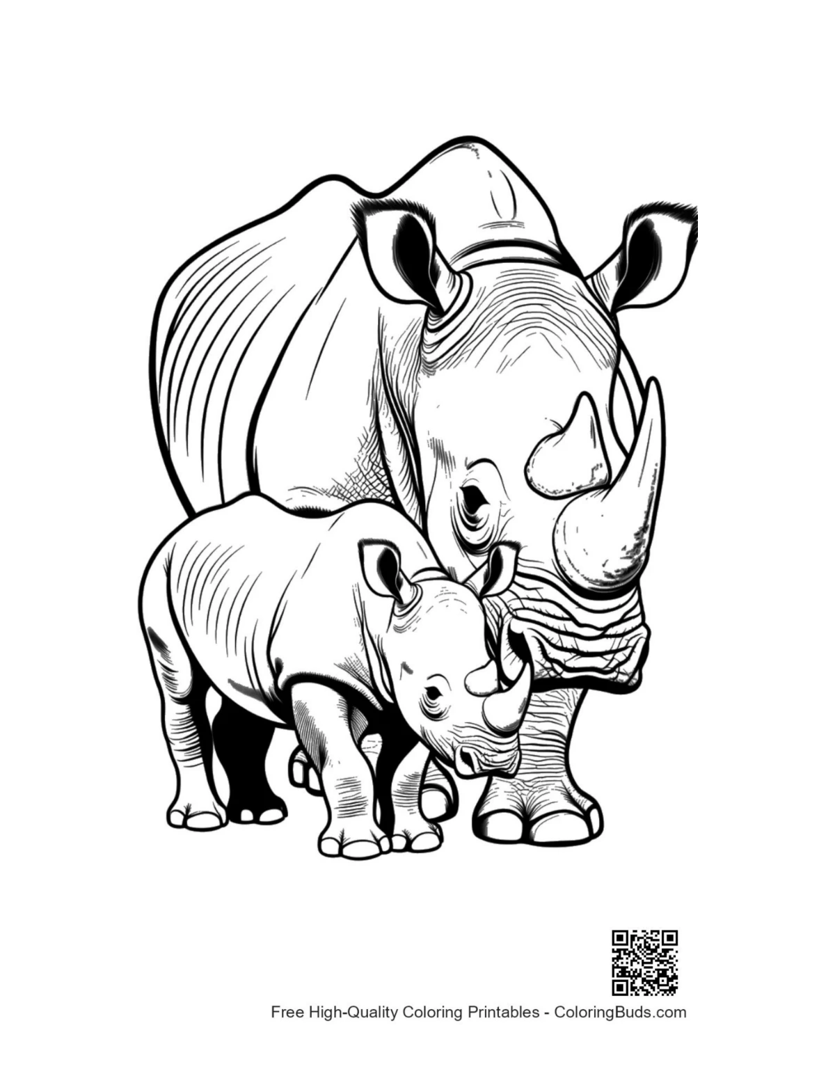 Mother White Rhino calf outline