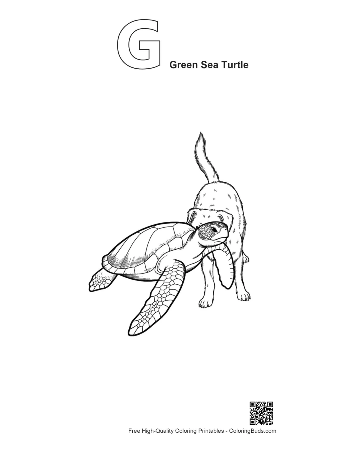 Puppy nosing turtle outline with letter G