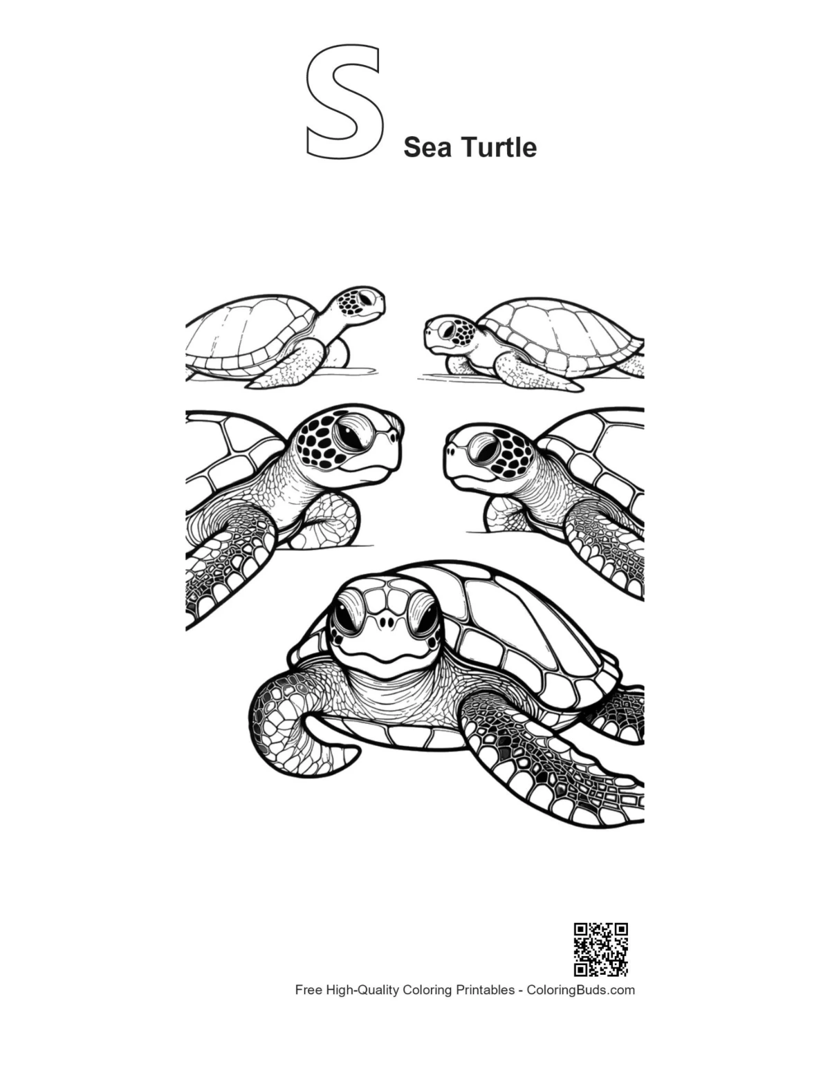 Baby sea turtle alphabet S outline coloring