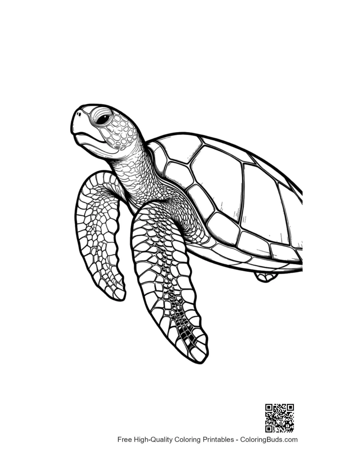 Cute baby sea turtle line art outline