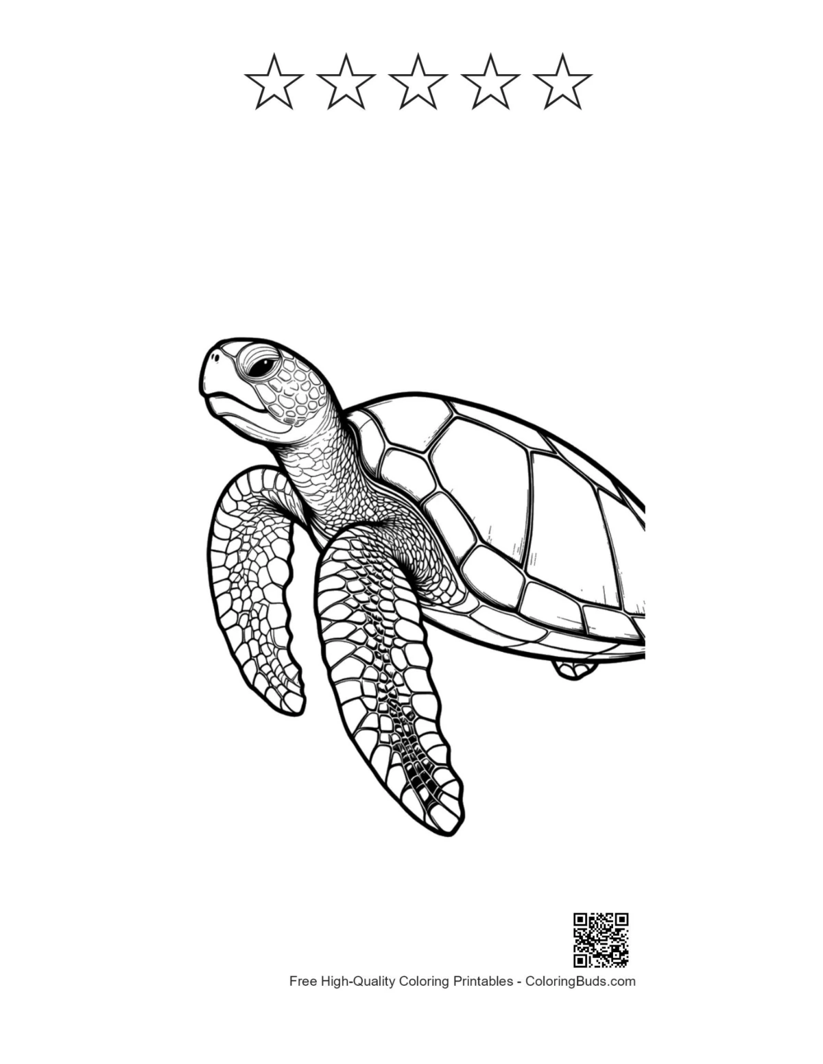 Cute sea turtle printable with 5 star outlines