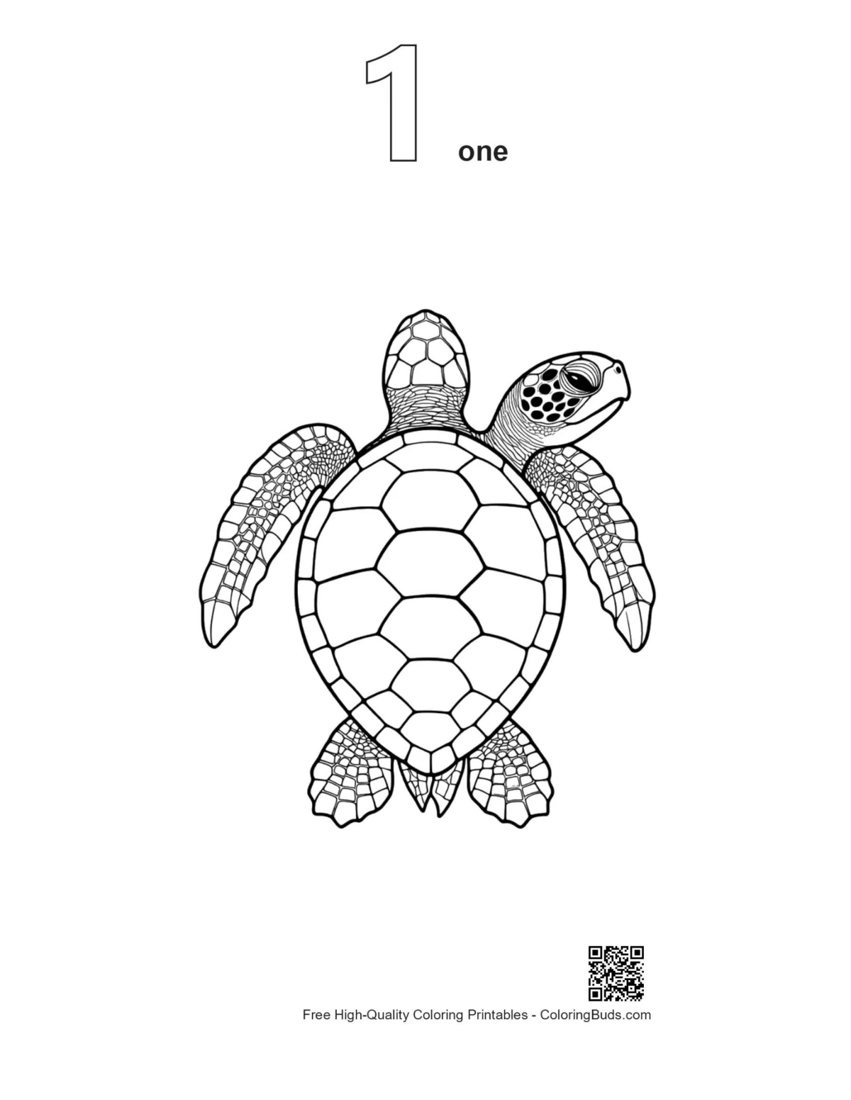 First outline of cute baby sea turtle line art printable