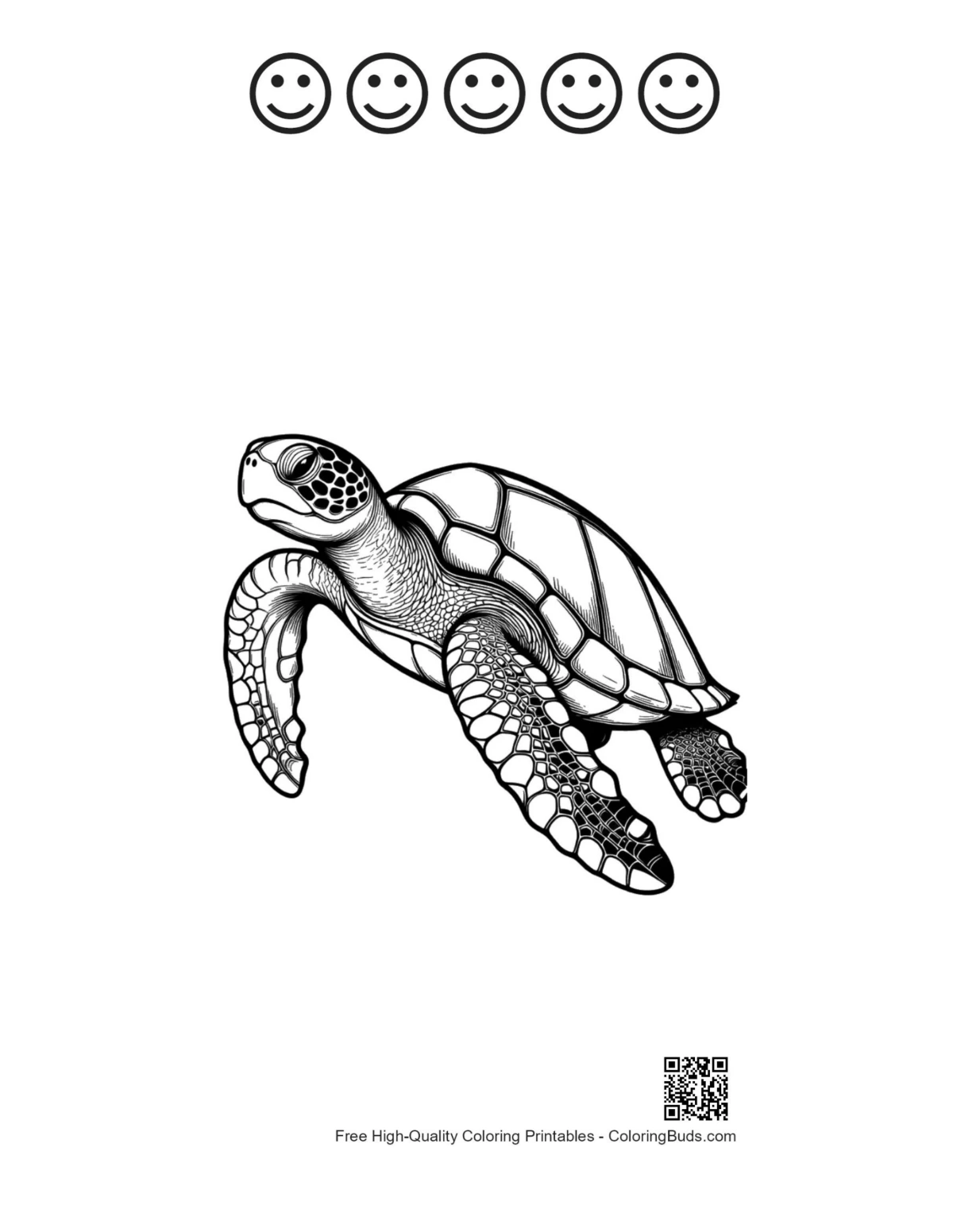 Hatchling turtle with happy face outlines