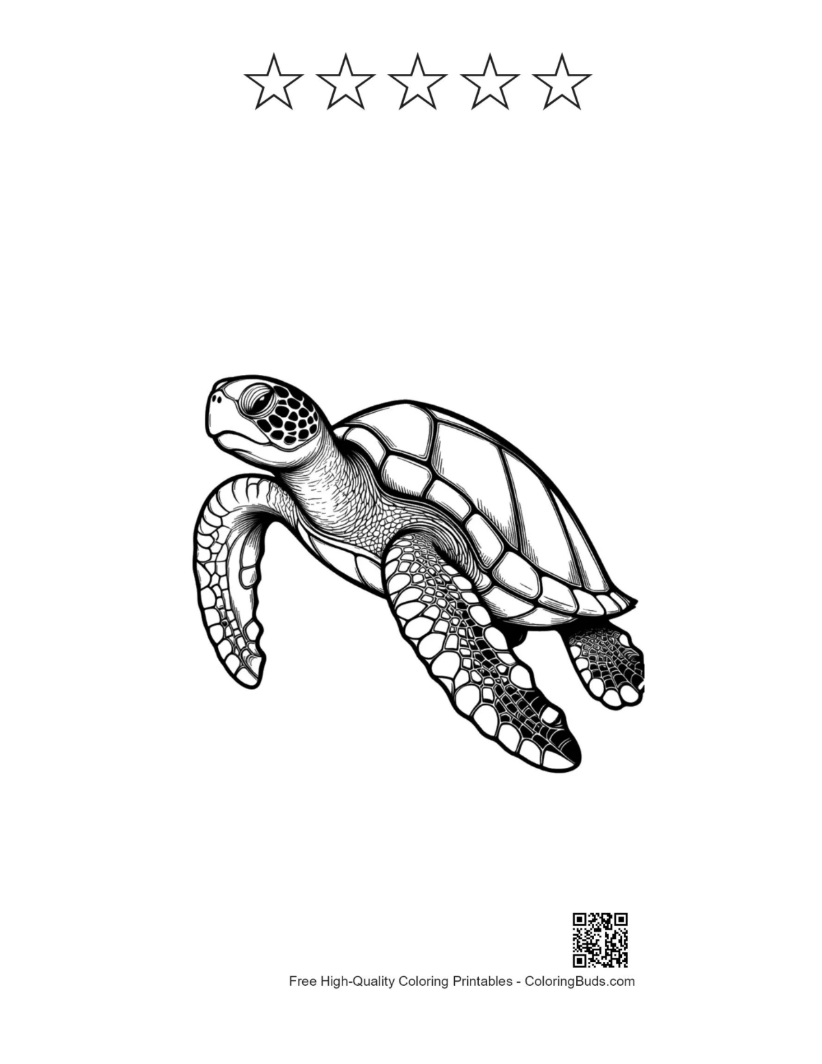 Sea turtle printable with star outlines