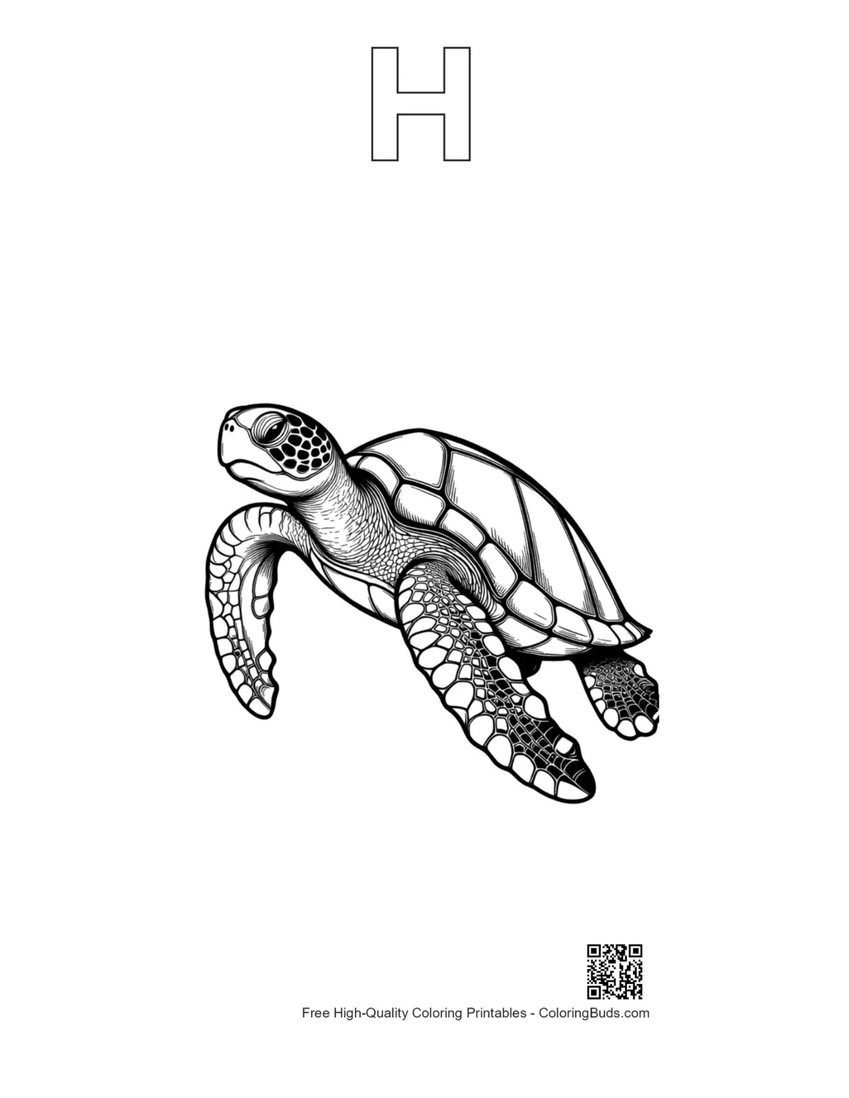 Baby sea turtle outline with letter H