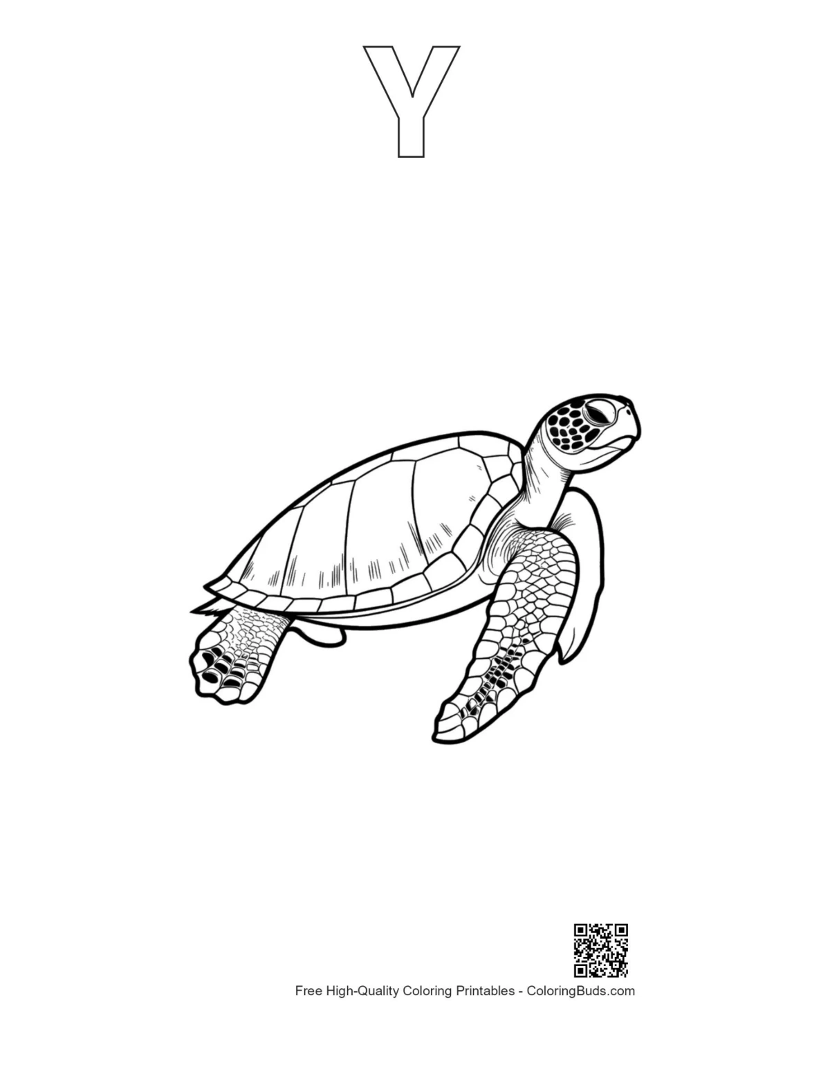 ภาพวาดเส้นเต่าทะเลสีเขียวพร้อมโครงร่างตัวอักษร Y