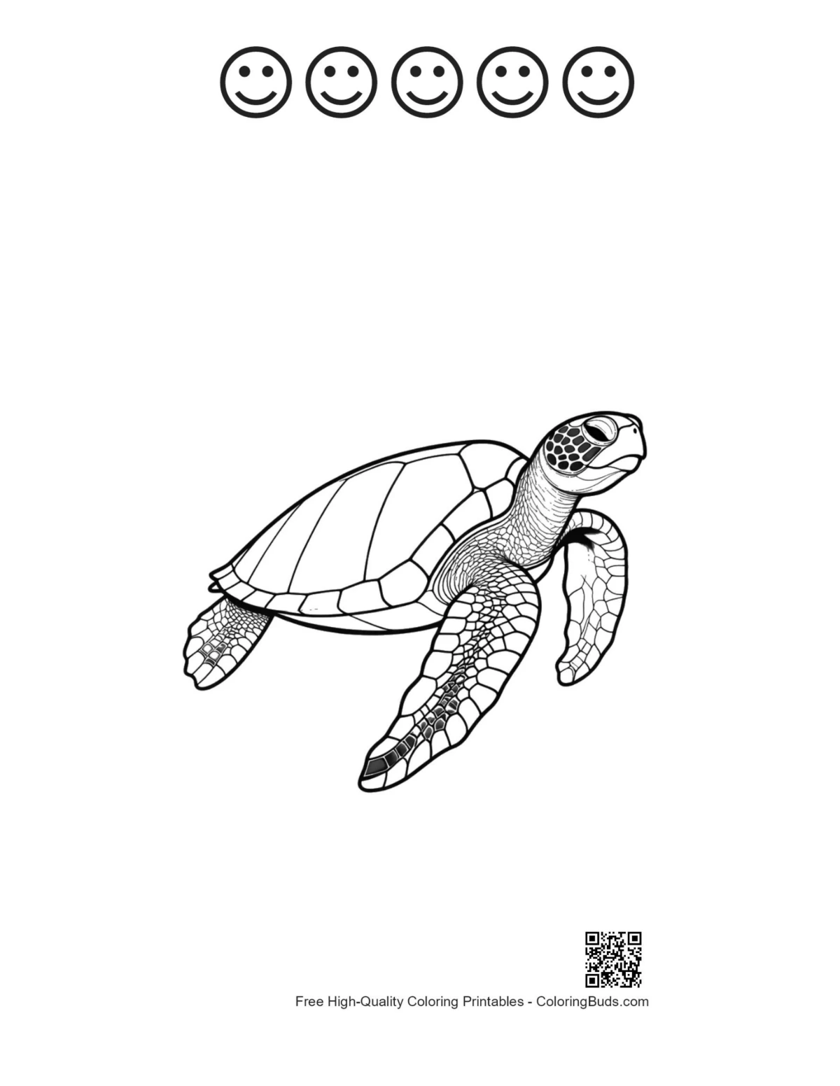 Turtle art with happy faces outline