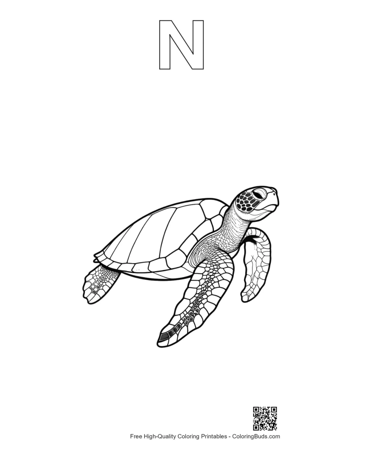 Turtle line art with alphabet N outline