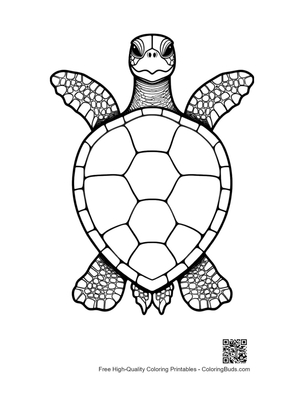 Black and white line art of green sea turtle