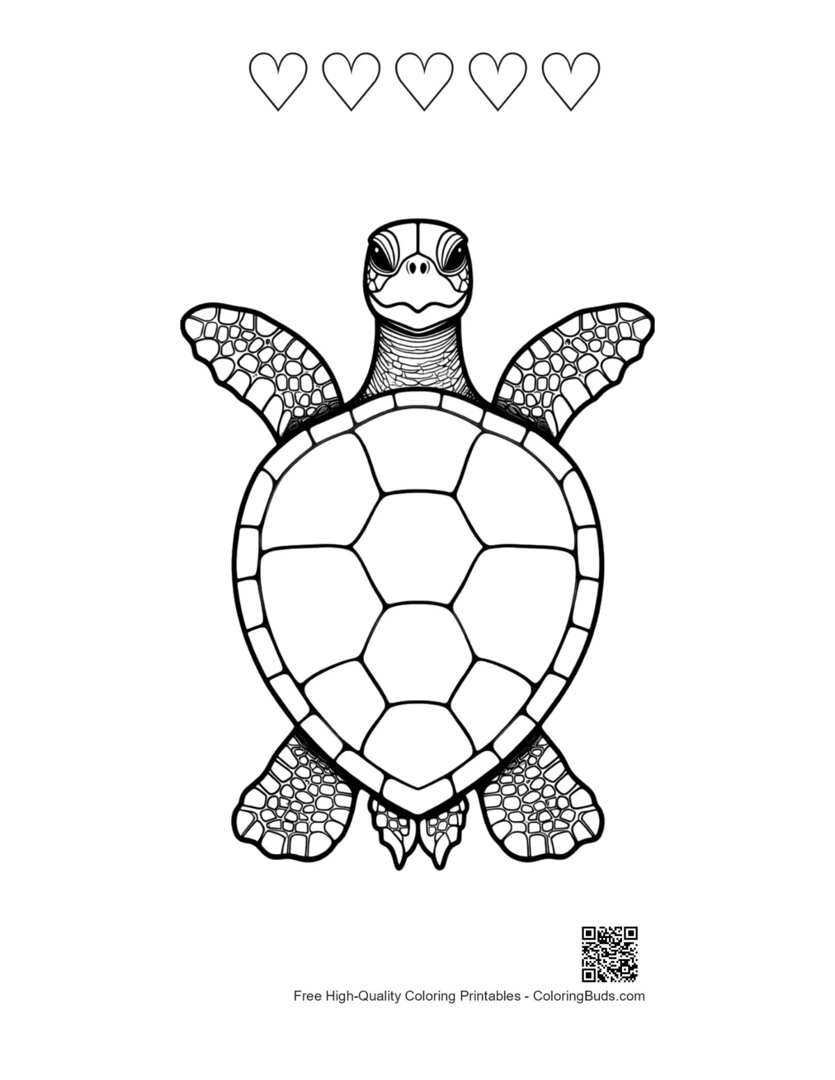 Green sea turtle with heart outlines printable