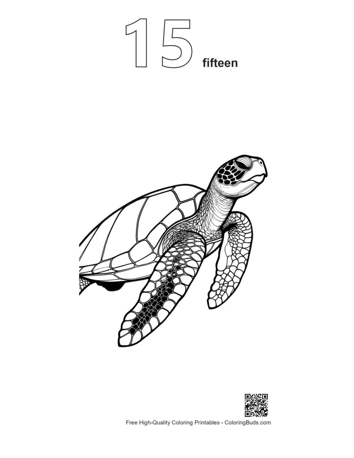 ภาพวาดเส้นเต่าทะเลสีเขียวพร้อมหมายเลข 15 (แบบร่าง) สามารถพิมพ์ได้