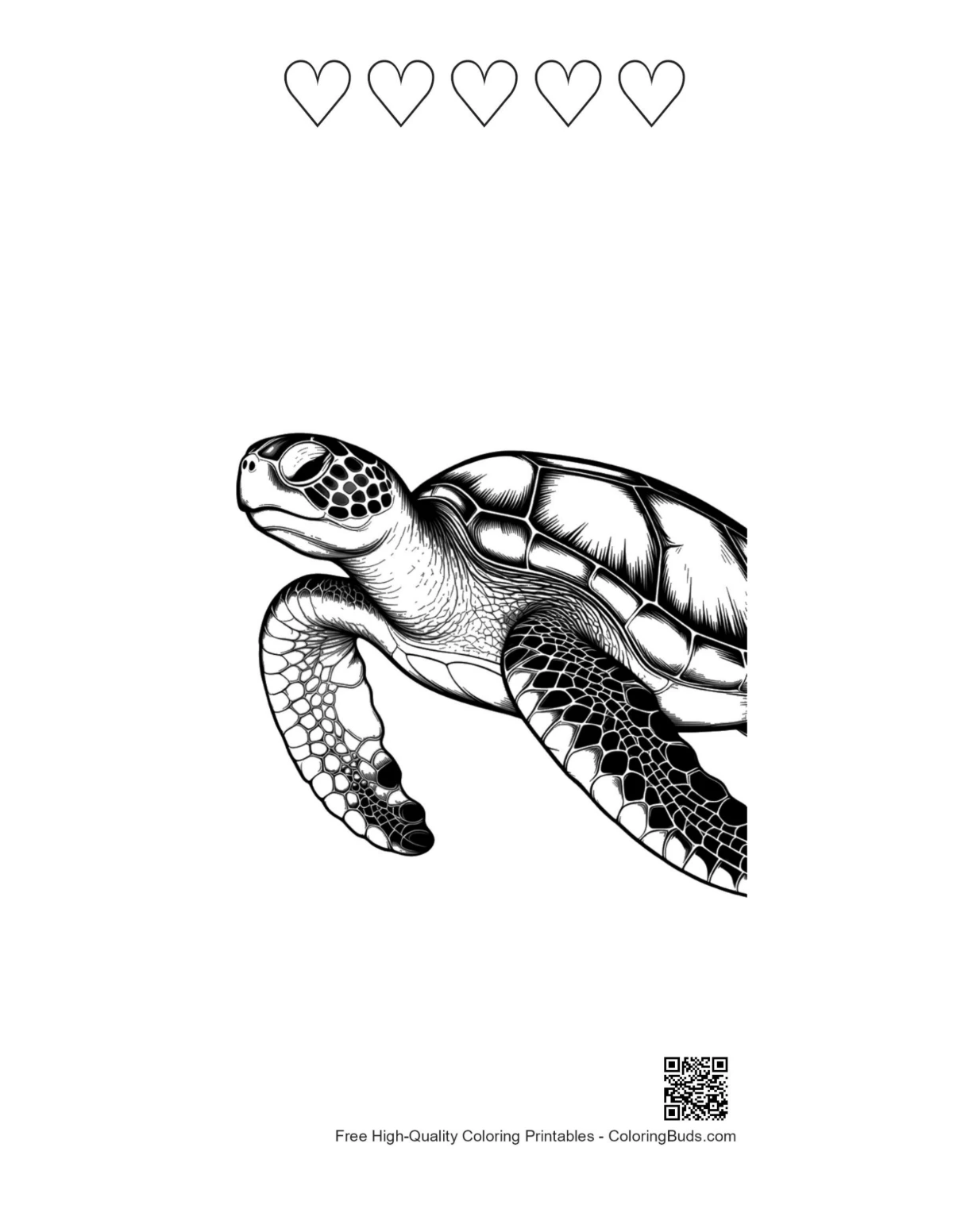 Green sea turtle with heart outlines