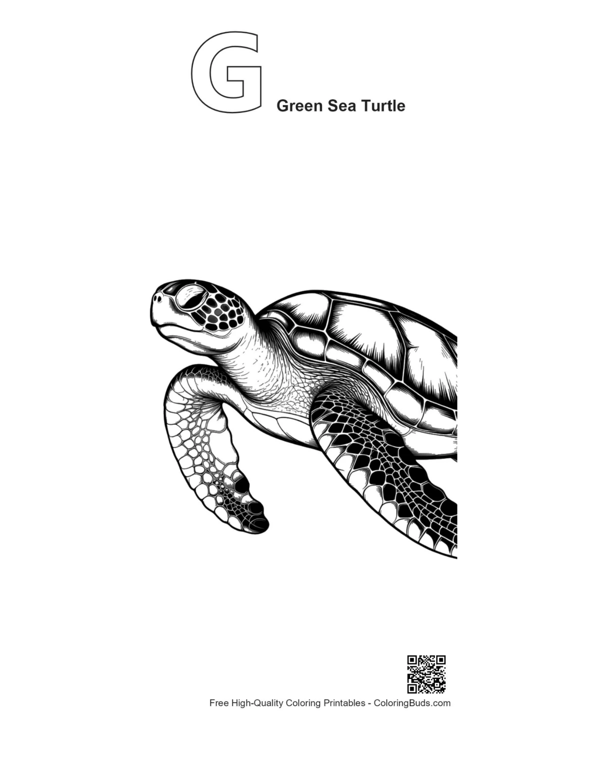 Green sea turtle outline with letter G