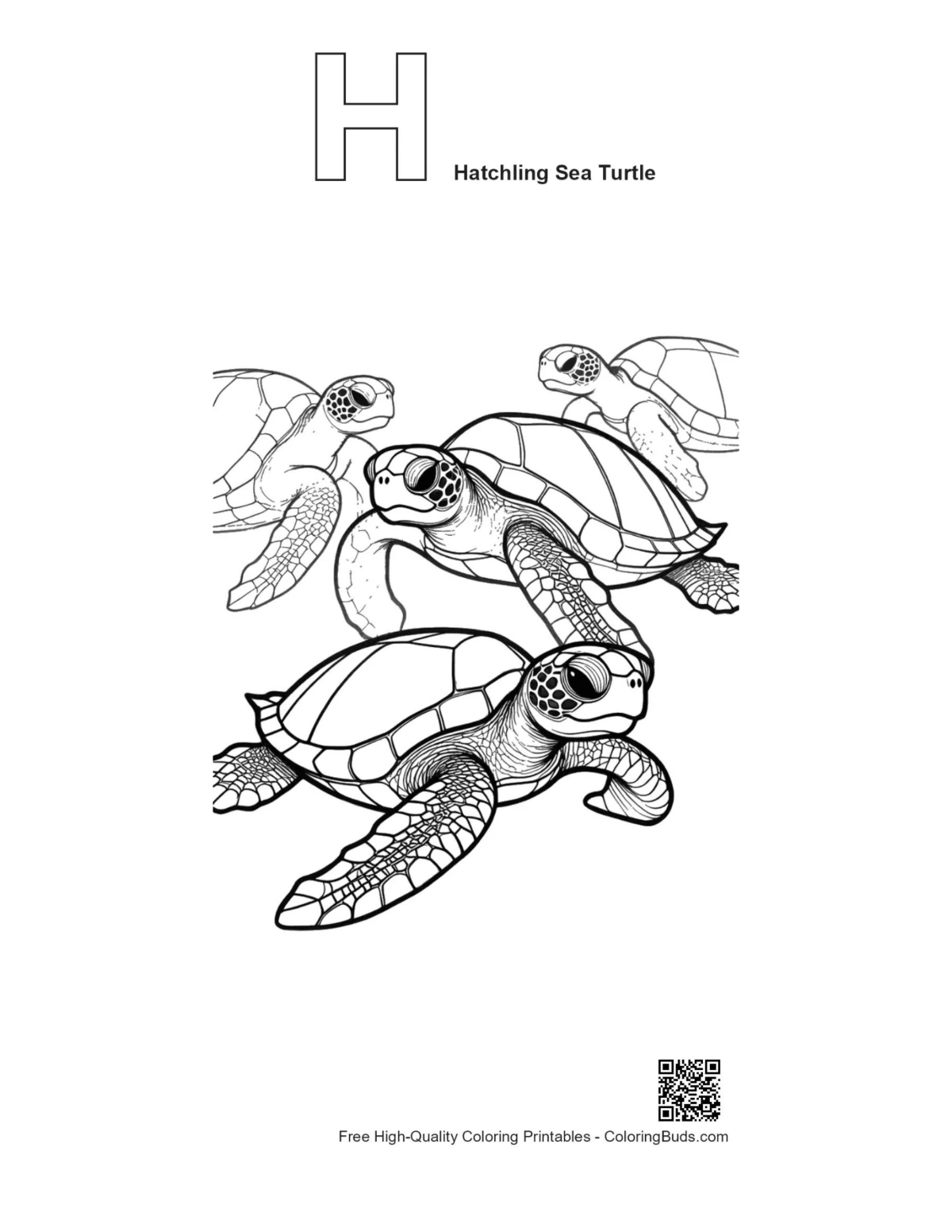 Alphabet H outline with hatchling sea turtles