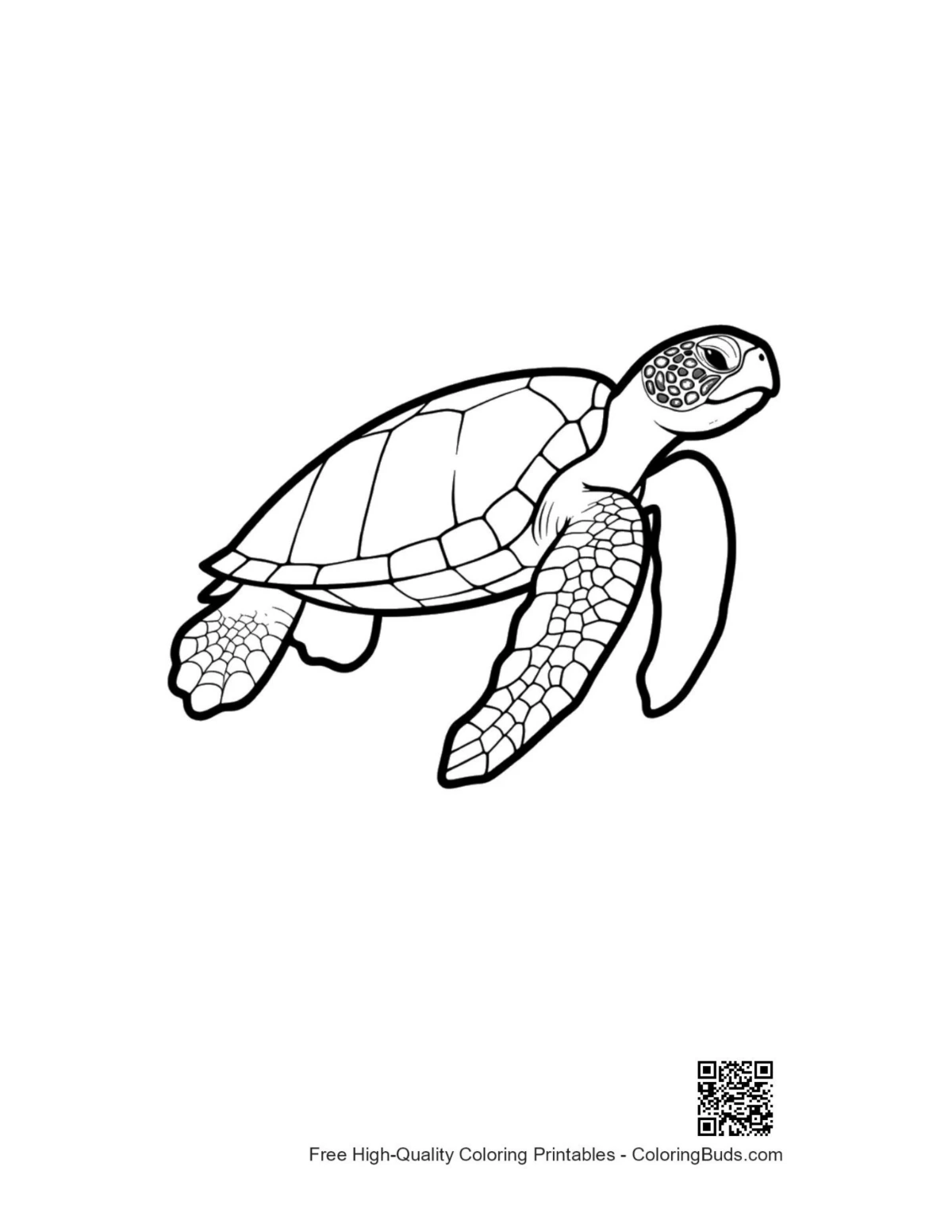 Cute hatchling sea turtle line art outline for coloring